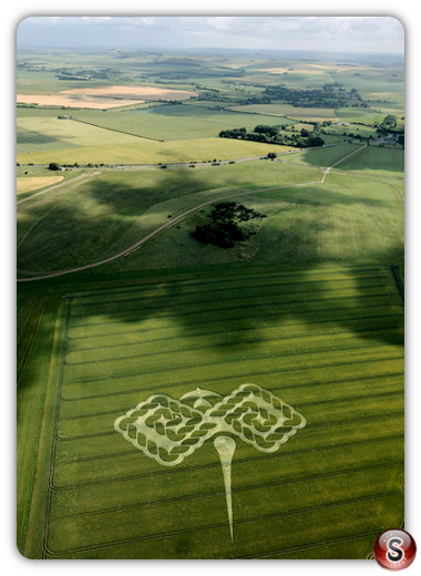 Crop circles - West Down (nr Beckhampton) 2009