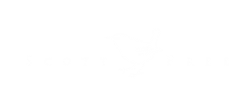 SCOTT FREE
