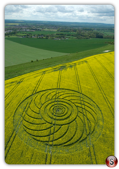 Crop circles - Roundway Hill Wiltshire 2009