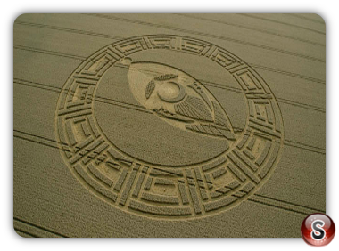 Crop circles Cooks Plantation nr Beckhampton Wiltshire UK 2013