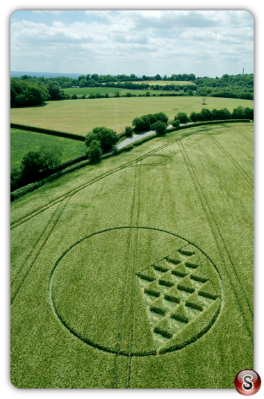 Crop circles - Margery Surrey UK 2015