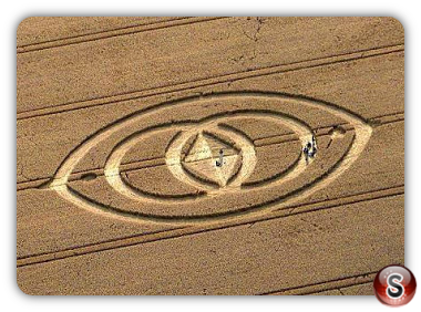 Crop circles - Morgan Hill nr Devizes Wiltshire 2008