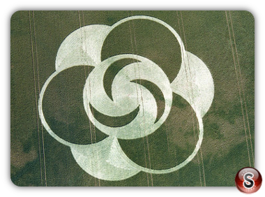 Crop circles - Little Bury Green Essex 1996
