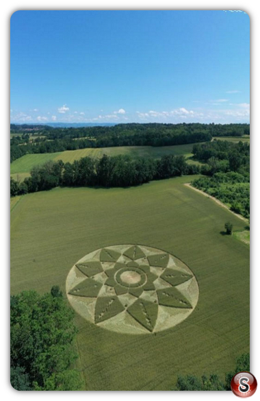 Crop circles - Bra (CN) Piemonte 2023