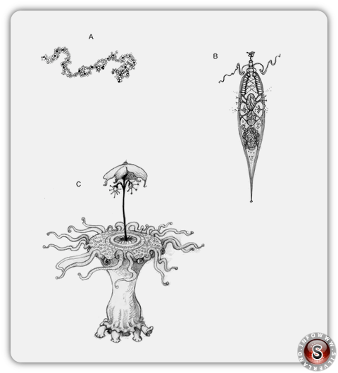 Illustrazione dei livelli di complessità. A) Una semplice molecola replicante. B) Entità simile a una cella. C) Un alieno. Helen Cooper