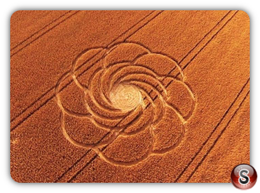 Crop circles  -Großziethen Brandenburg 2016