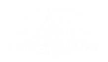 Metro goldwyn mayer