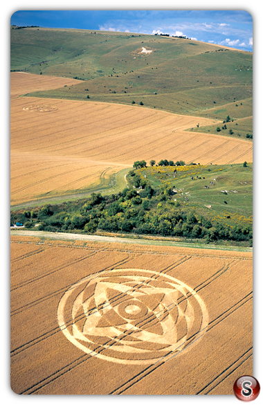 Crop circles - Alton Priors Wiltshire 2001