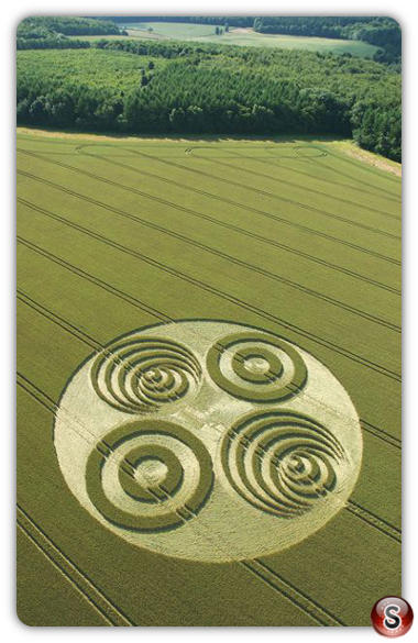Crop circles - Savernake Forest Wiltshire 2006