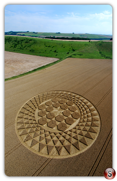 Crop circles - Sugar Hill near Aldbourne Wiltshire 2007