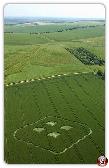 Crop circles - Monkton Down Wiltshire 2005