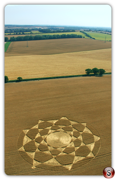 Crop circles - Gander Down Hampshire 2006