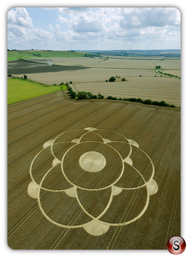 Crop circles - Winterbourne Bassett nr. Avebury Wiltshire 2009