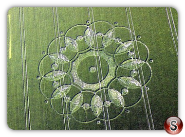 Crop circles - Codford St. Peter 2010