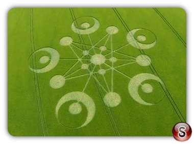 Crop circles - Ackling Dyke Near Sixpenny Handley Dorset 2014