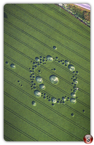 Crop circles - Bishops Sutton Hampshire 1995