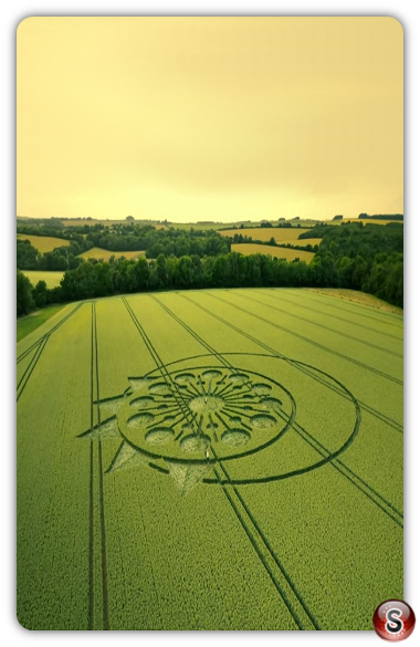 Crop circles - Owlesbury Hampshire 2023