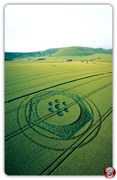 Crop circles - All Cannings Wiltshire 2003