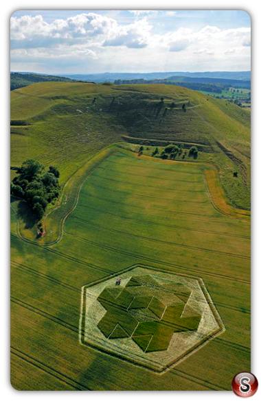 Crop circles - Cley Hill nr Warminster Wiltshire 2010