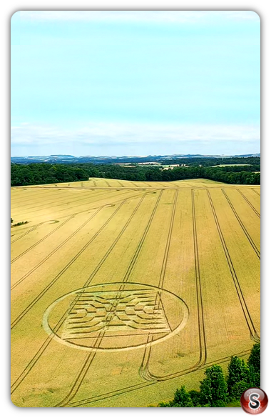 Crop circles - Micheldever Hampshire 2022