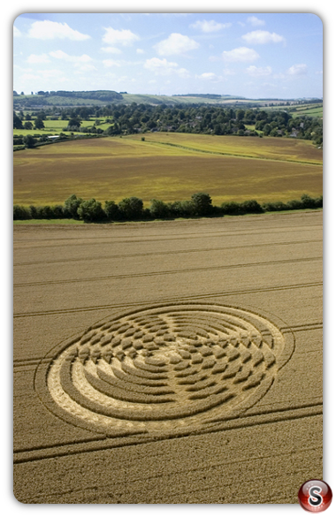 Crop circles - Shelbourne Wiltshire 2004
