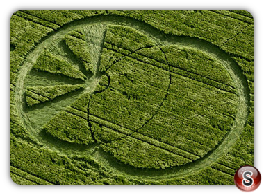Crop circles - West Kennett Avebury Wiltshire 2008