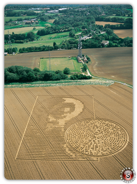 Crop circles - Sparsholt nr Winchester, Hampshire 2002 - Alien face