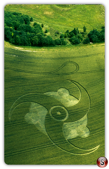 Crop circles - Litchfield Hampshire 2003