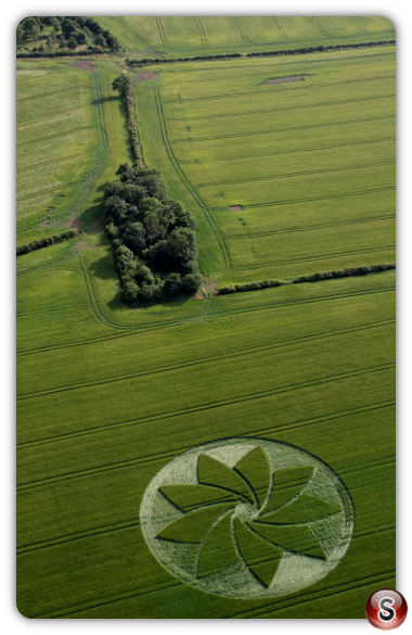 Crop circles - Hoden nr Evesham Worcestershire UK 2013