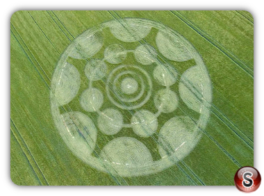 Crop circles - Buckle Streetnr Pebworth Worcestershire UK 2014 