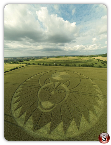 Crop circles - Figsbury Rings Wiltshire 2016