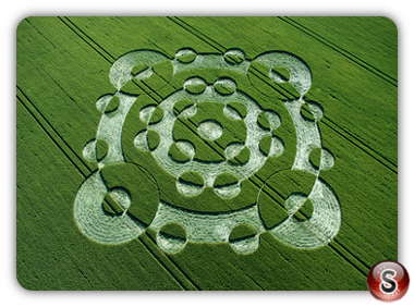 Crop circles - Lurkeley Hill East Kennett Wiltshire 2005