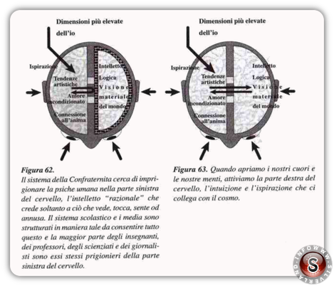 Emisferi del cervello