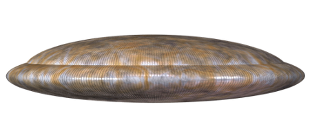 Una rappresentazione dell'UFO che affermano di aver visto. (Fornito: Thom Reed)