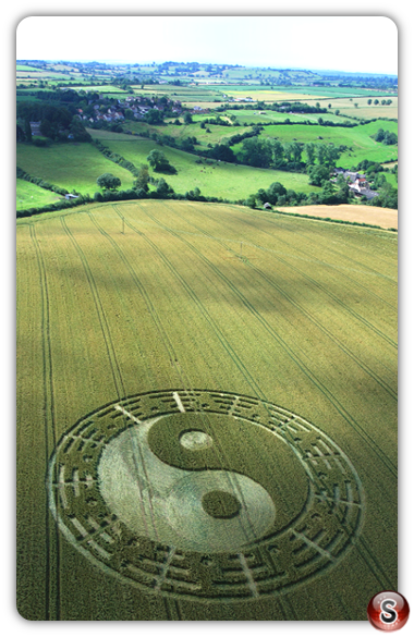 Crop circles - Stantonbury Hill Somerset 2007