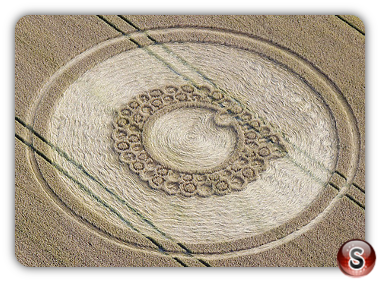 Crop circles - Roundway Hill nr Devizes Wiltshire 2011