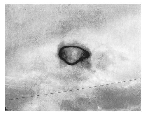 Foto dell'anello di fumo "UFO" di Heflin