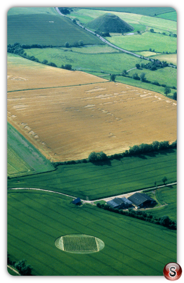 Crop circles - East Kennett Wiltshire 2000