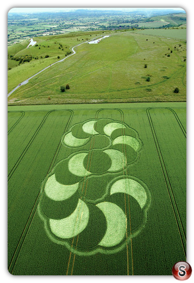 Crop circles - Westbury White Horse Wiltshire 2007