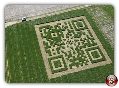 Crop circle - Kansas USA 2012