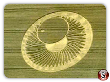 Crop circles  -Ravenna Emilia Romagna Italy 2015