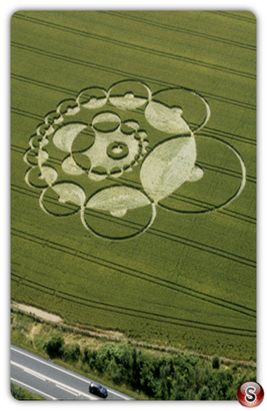 Crop circles - Bishops Sutton Hampshire 2000