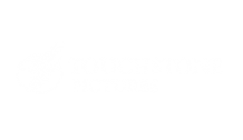 Touchstone Pictures