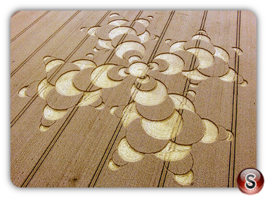 Crop circles - Mammendorf Bayern 2016