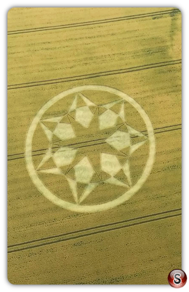 Crop circles -  Marten - Wiltshire 2024