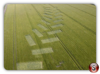 Crop circles - Udebiltdijk Friesland 2018
