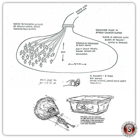 Illustrazione che descrive nel dettaglio il piano di disumanizzazione che preparano gli umani e gli alieni nella base di Dulce