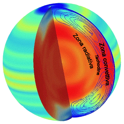 Rielaborazione computerizzata dei dati eliosismologici che mette in evidenza la disposizione e la struttura della zona radiativa, della tachocline e della zona convettiva.