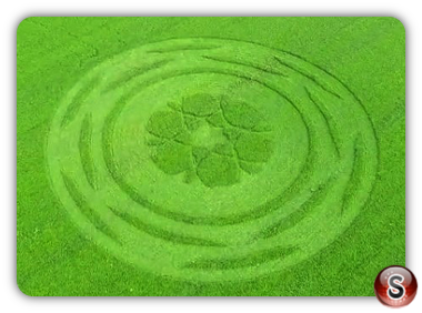 Crop circles - Zollikofen Bern 2017