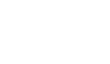 Eclectik Vision